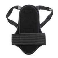 واقي ظهر للدراجة النارية ، وسادة سميكة EVA قابلة للفصل ، حماية الظهر ، لركوب الدراجات النارية ، التزلج على الجليد - الصورة 2